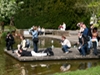 Bad Nauheim 2007